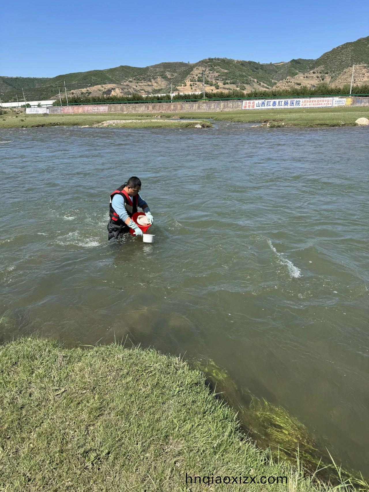 1718682326314881.jpg 87.4jpg.jpg