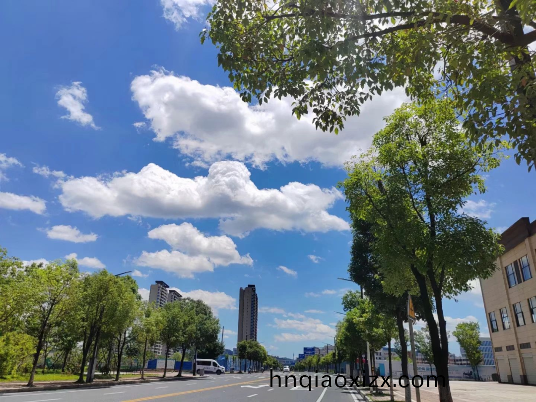 1755142872612432.png 640.png